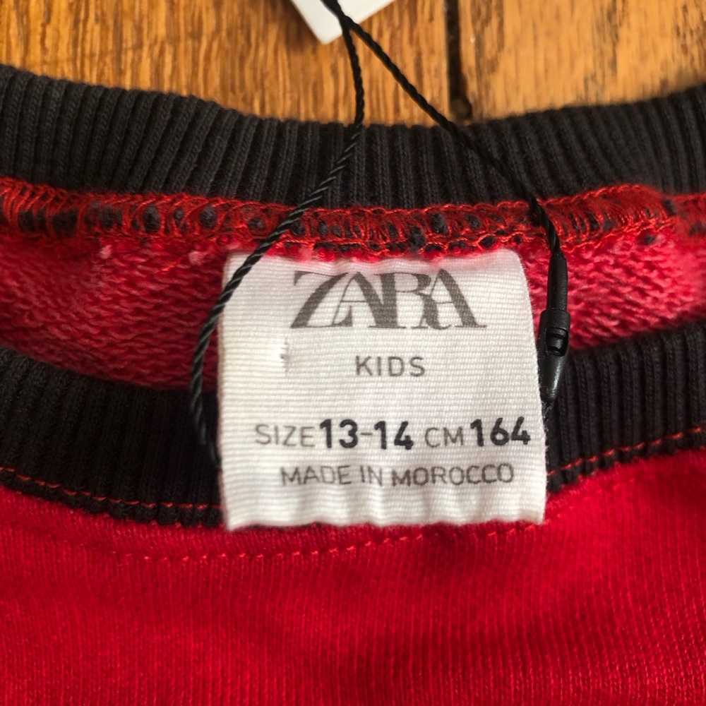 ZARA Kids FABULOUS Dress - Picture 7 of 10
